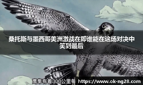 南宫NG28