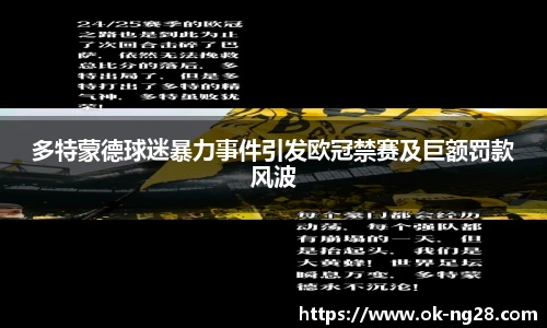 多特蒙德球迷暴力事件引发欧冠禁赛及巨额罚款风波